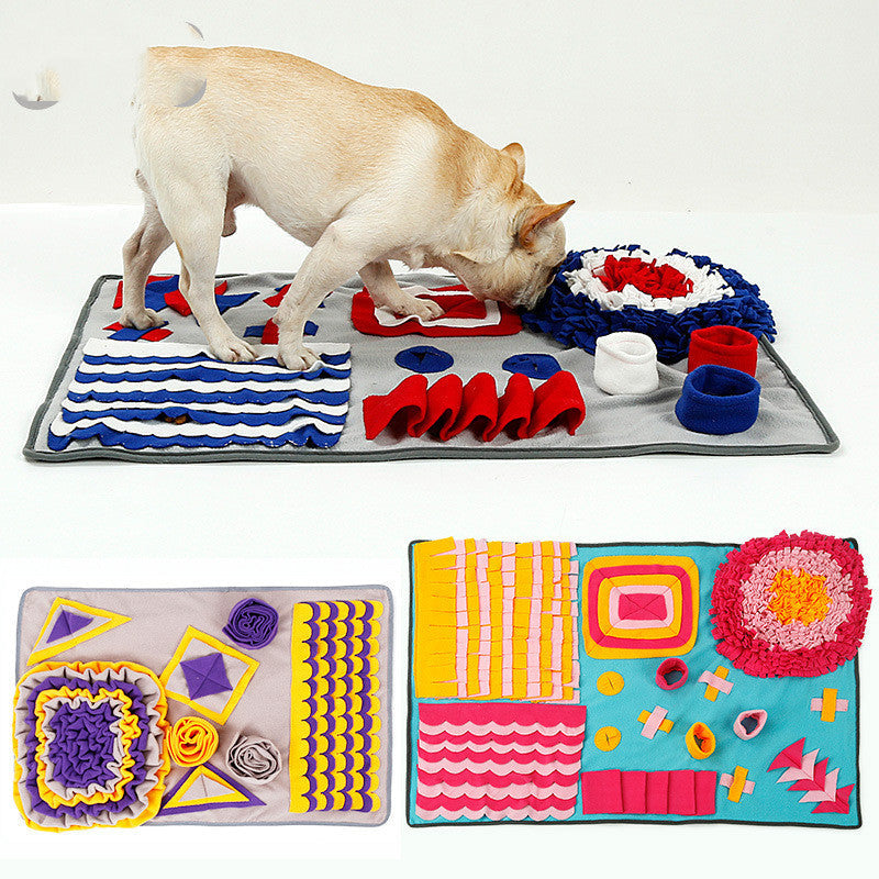 Toys & Enrichment
