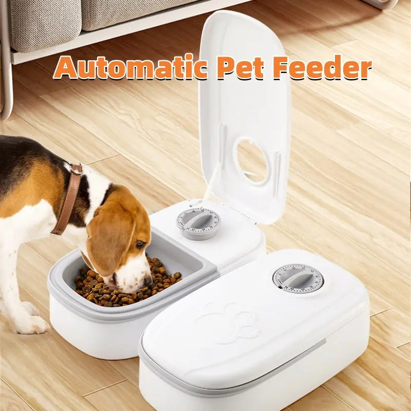 Feeding Essentials Mike's Pet Boutique