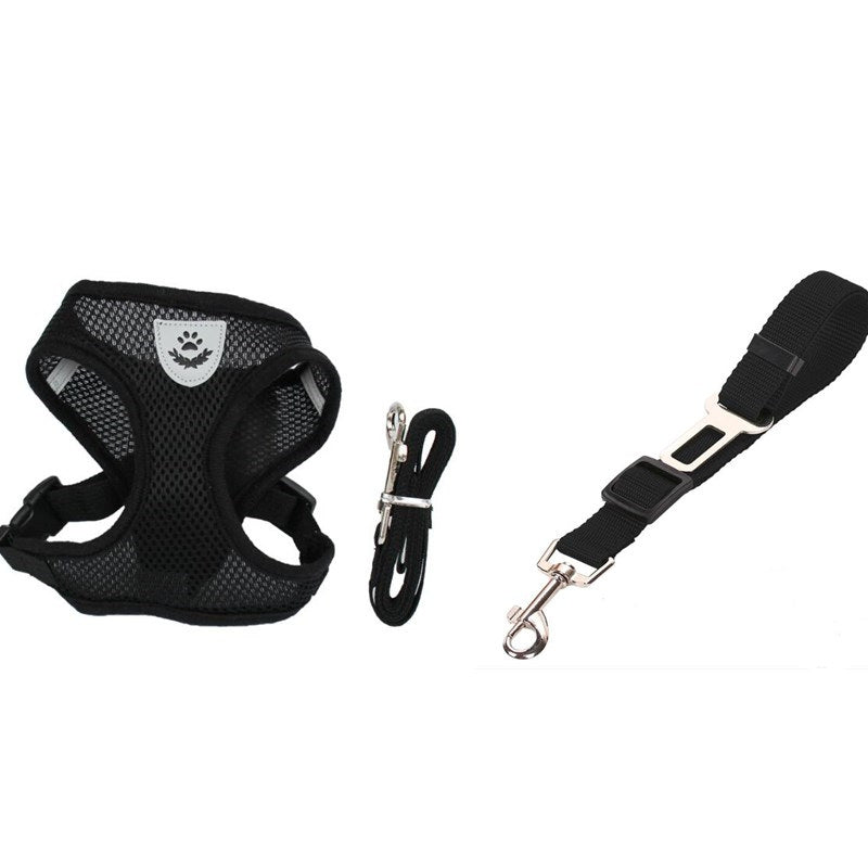 Stylish Pet Leash & Belt for Fun, Safe Walks
