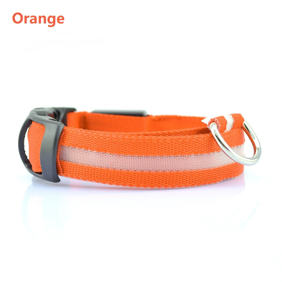 LED Safety Dog Collar – USB Rechargeable Light-Up Collar for Safe Night Walks & Outdoor Adventures