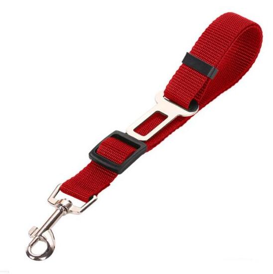 Stylish Pet Leash & Belt for Fun, Safe Walks