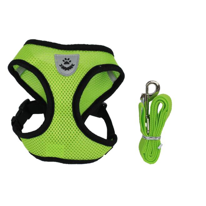 Stylish Pet Leash & Belt for Fun, Safe Walks
