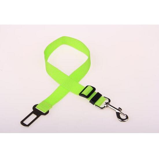 Stylish Pet Leash & Belt for Fun, Safe Walks