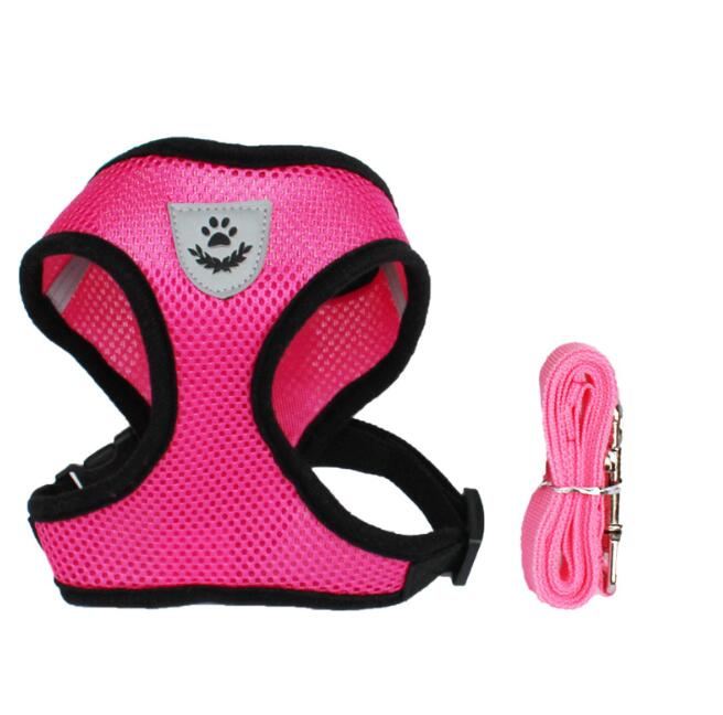 Stylish Pet Leash & Belt for Fun, Safe Walks