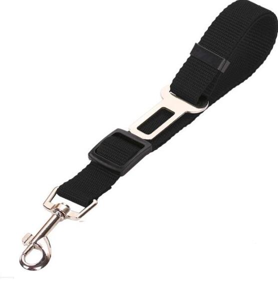Stylish Pet Leash & Belt for Fun, Safe Walks