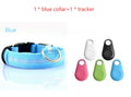LED Safety Dog Collar – USB Rechargeable Light-Up Collar for Safe Night Walks & Outdoor Adventures