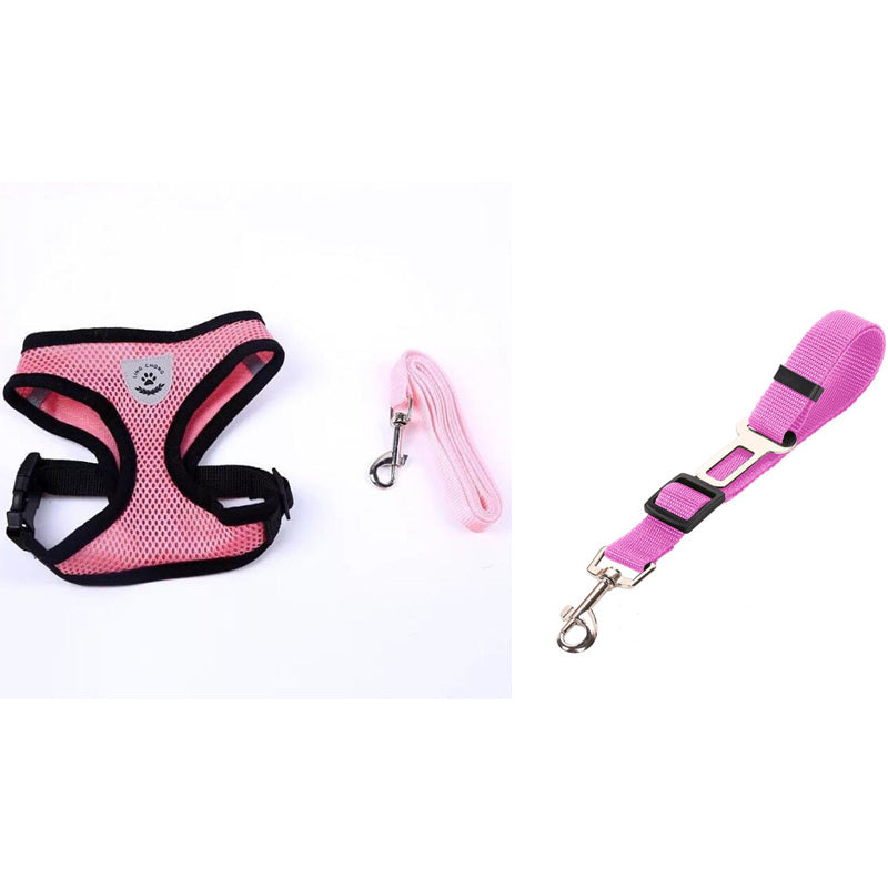 Stylish Pet Leash & Belt for Fun, Safe Walks