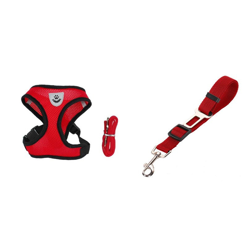 Stylish Pet Leash & Belt for Fun, Safe Walks