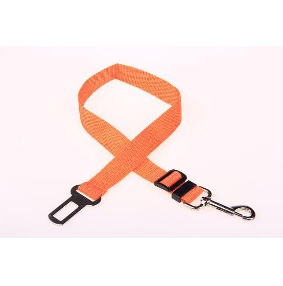 Stylish Pet Leash & Belt for Fun, Safe Walks