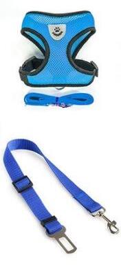 Stylish Pet Leash & Belt for Fun, Safe Walks