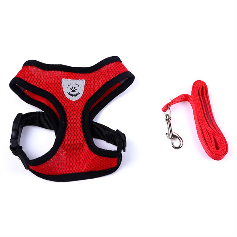 Stylish Pet Leash & Belt for Fun, Safe Walks