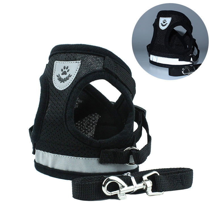 Stylish Pet Leash & Belt for Fun, Safe Walks