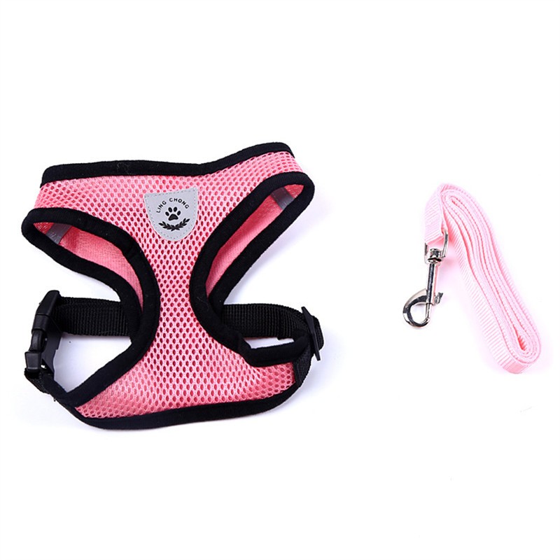Stylish Pet Leash & Belt for Fun, Safe Walks