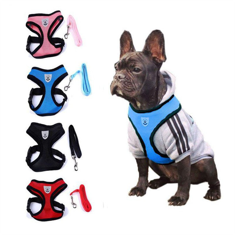 Stylish Pet Leash & Belt for Fun, Safe Walks
