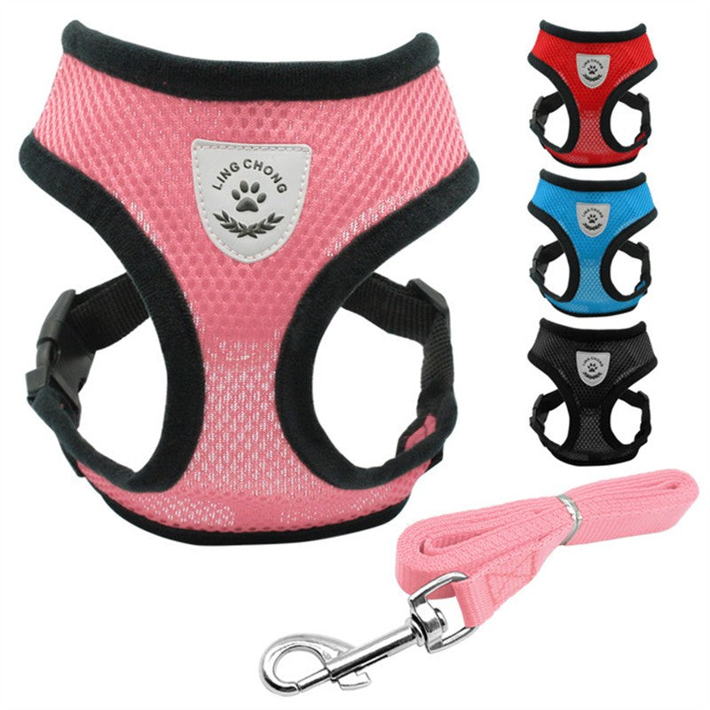 Stylish Pet Leash & Belt for Fun, Safe Walks