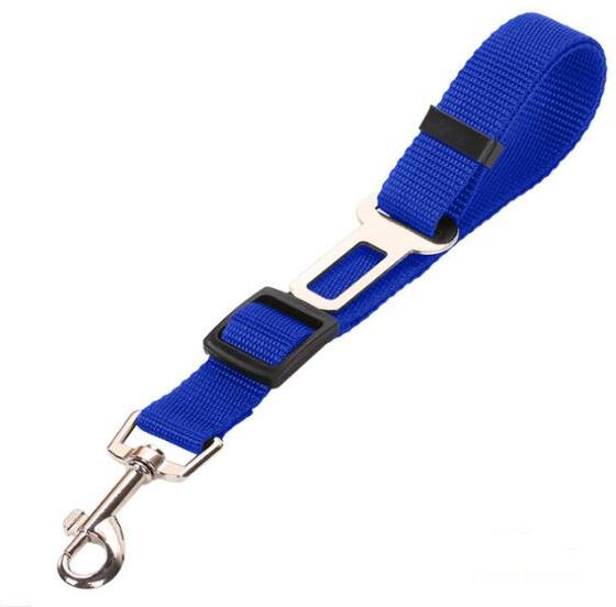 Stylish Pet Leash & Belt for Fun, Safe Walks