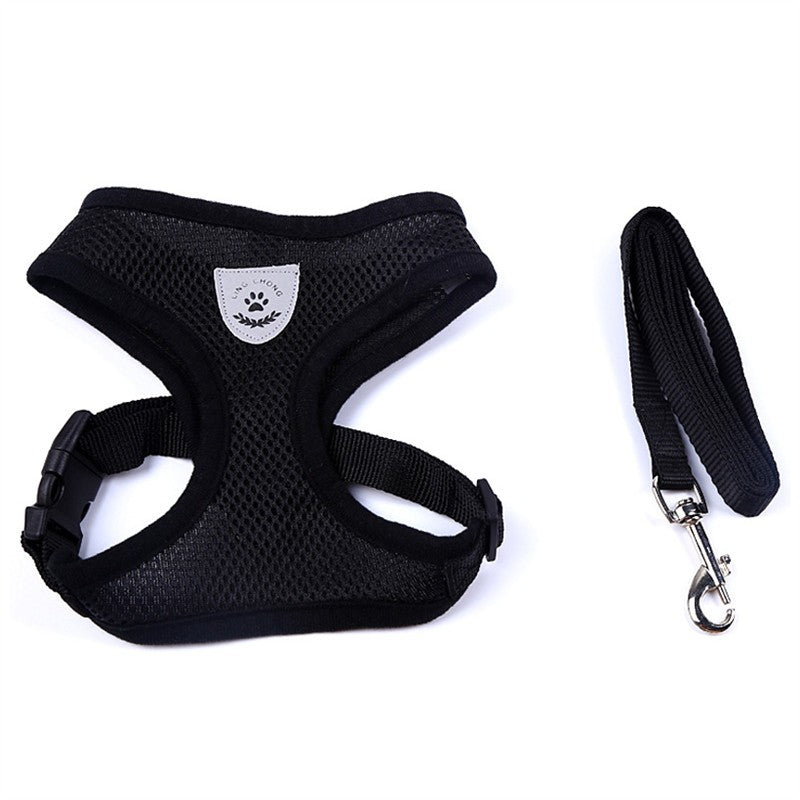 Stylish Pet Leash & Belt for Fun, Safe Walks