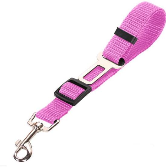 Stylish Pet Leash & Belt for Fun, Safe Walks