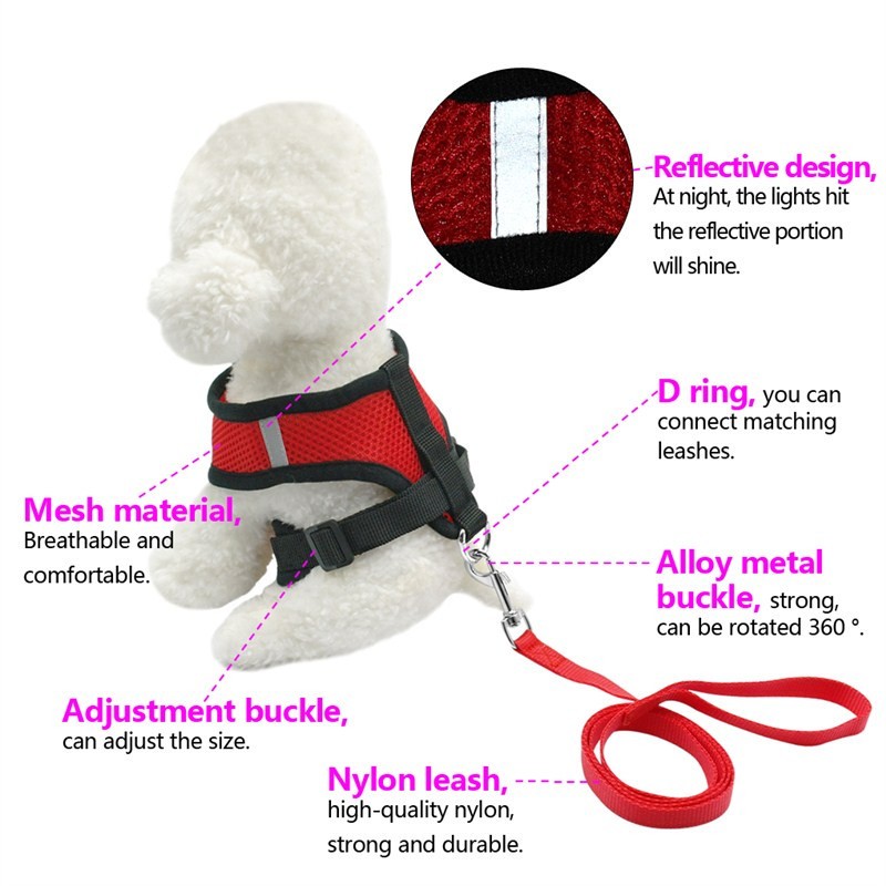 Stylish Pet Leash & Belt for Fun, Safe Walks