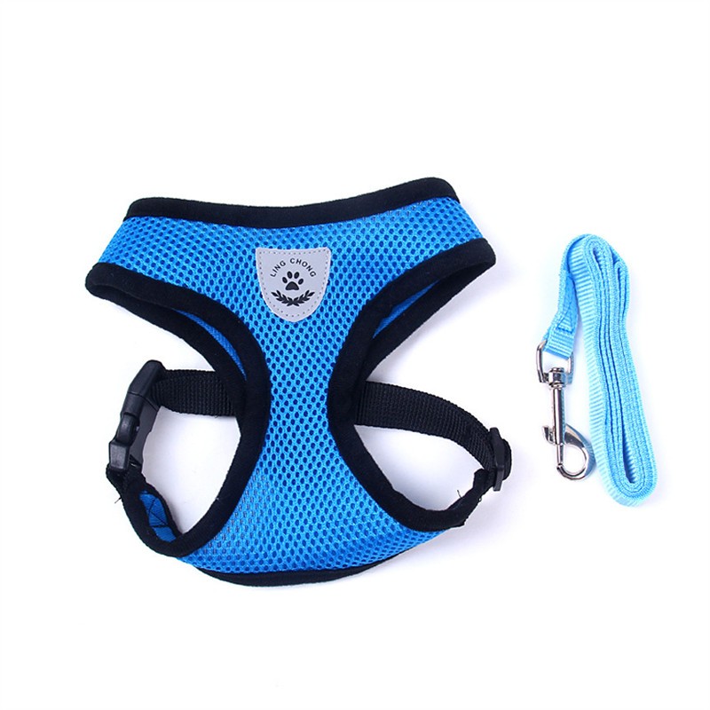 Stylish Pet Leash & Belt for Fun, Safe Walks