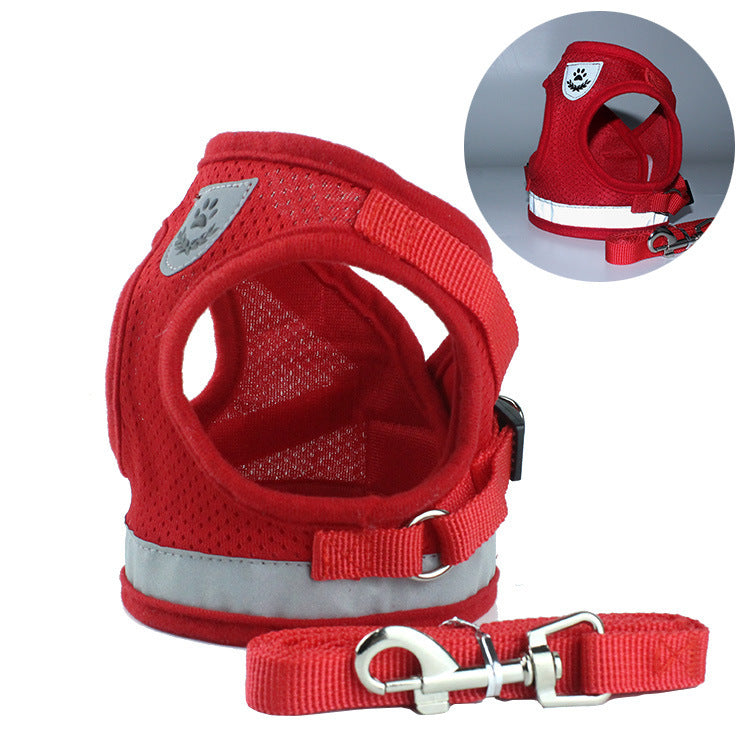 Stylish Pet Leash & Belt for Fun, Safe Walks