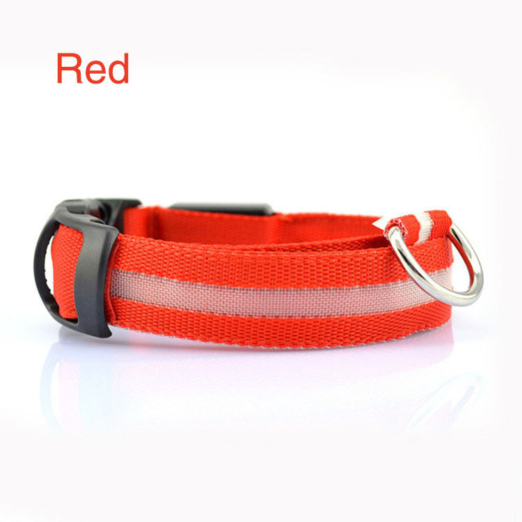 LED Safety Dog Collar – USB Rechargeable Light-Up Collar for Safe Night Walks & Outdoor Adventures