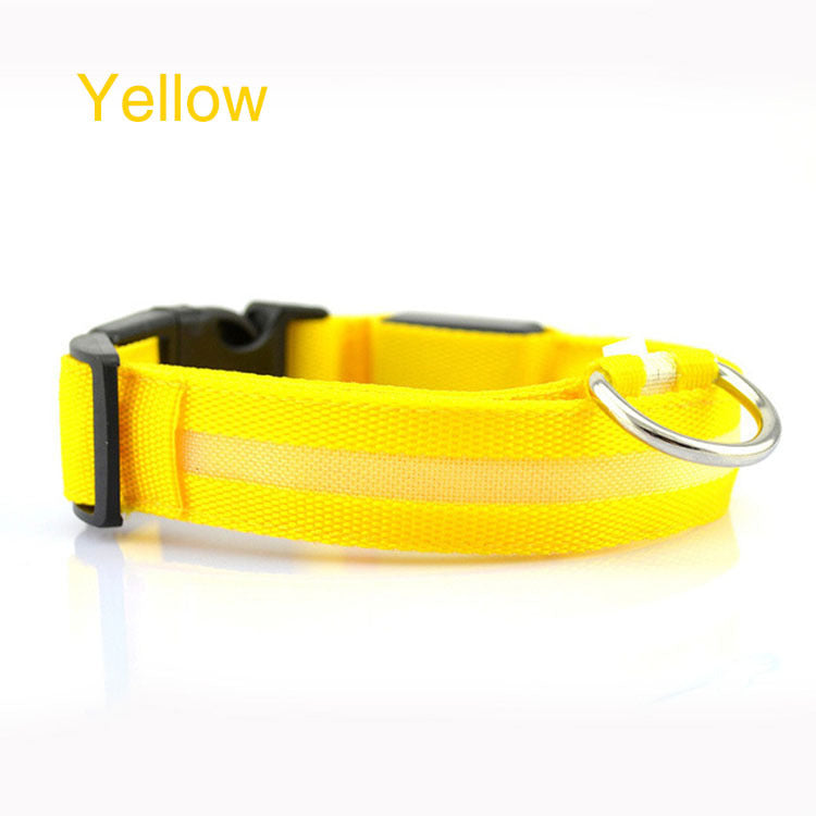 LED Safety Dog Collar – USB Rechargeable Light-Up Collar for Safe Night Walks & Outdoor Adventures