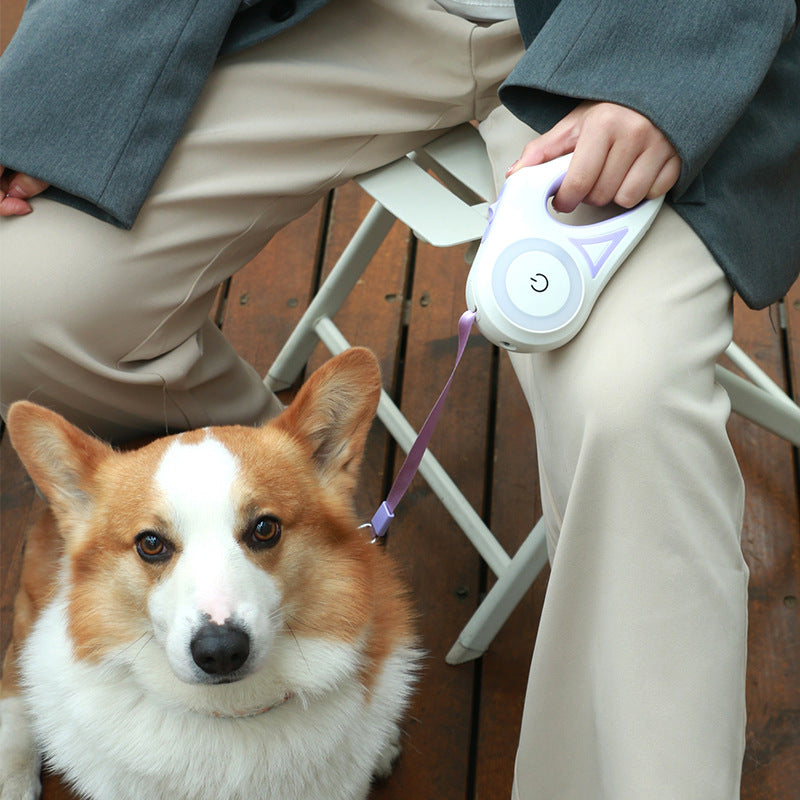 Light-Up Retractable Dog Leash for Safer, Happier Walks