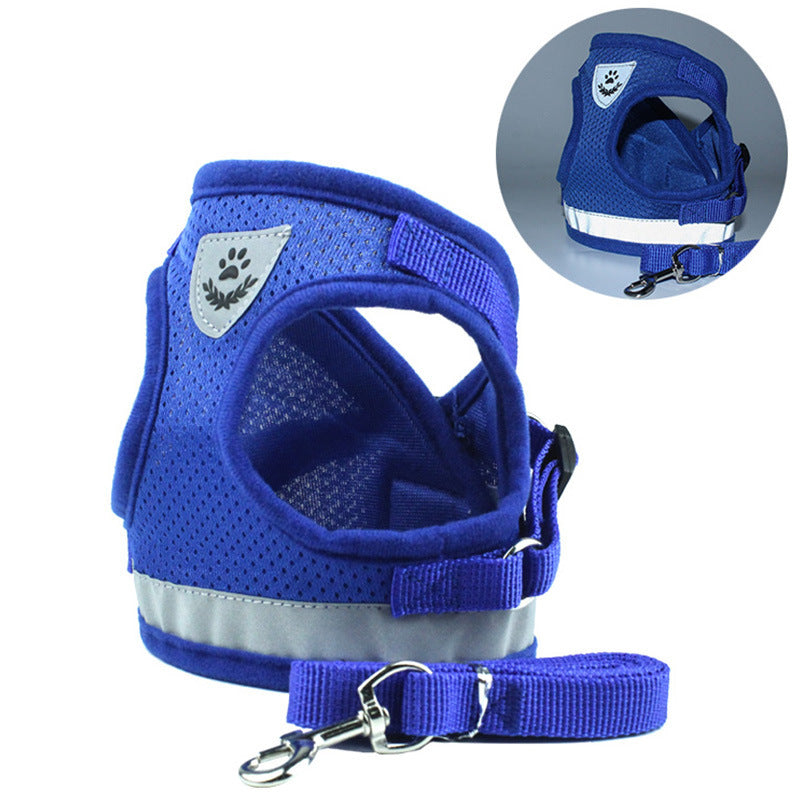 Stylish Pet Leash & Belt for Fun, Safe Walks