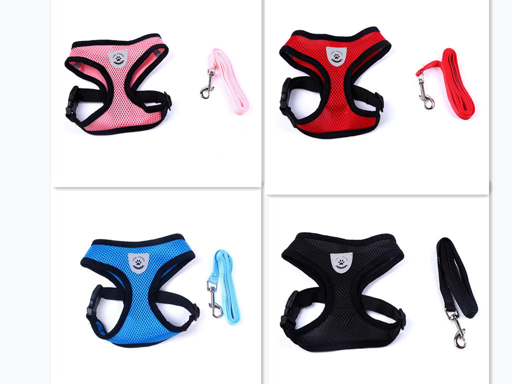 Stylish Pet Leash & Belt for Fun, Safe Walks
