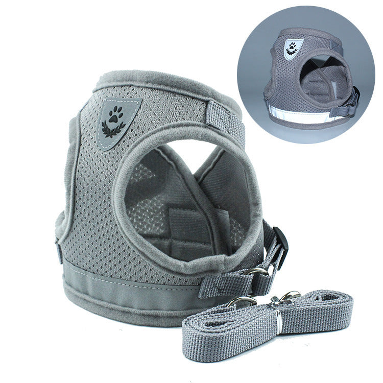 Stylish Pet Leash & Belt for Fun, Safe Walks