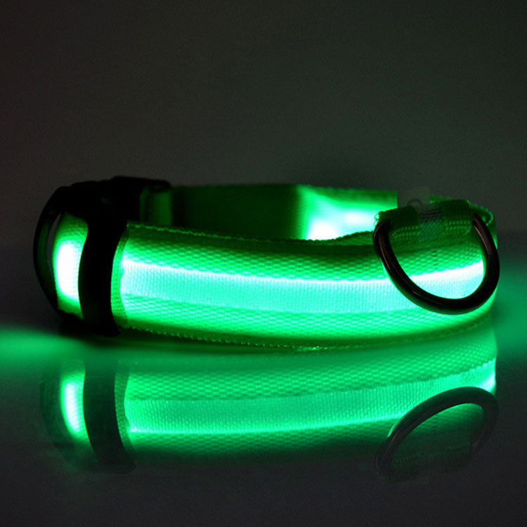 LED Safety Dog Collar – USB Rechargeable Light-Up Collar for Safe Night Walks & Outdoor Adventures