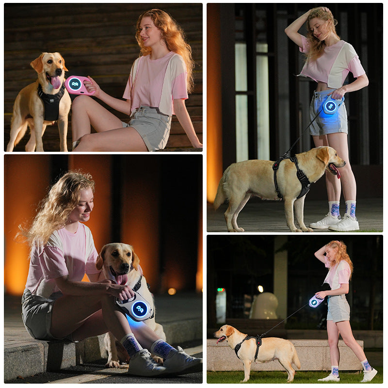 NightSafe LED Retractable Dog Leash with light-up safety feature, durable nylon strap, suitable for small and medium dogs