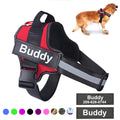Dog Walk Kit bundle featuring the No-Pull Reflective Harness