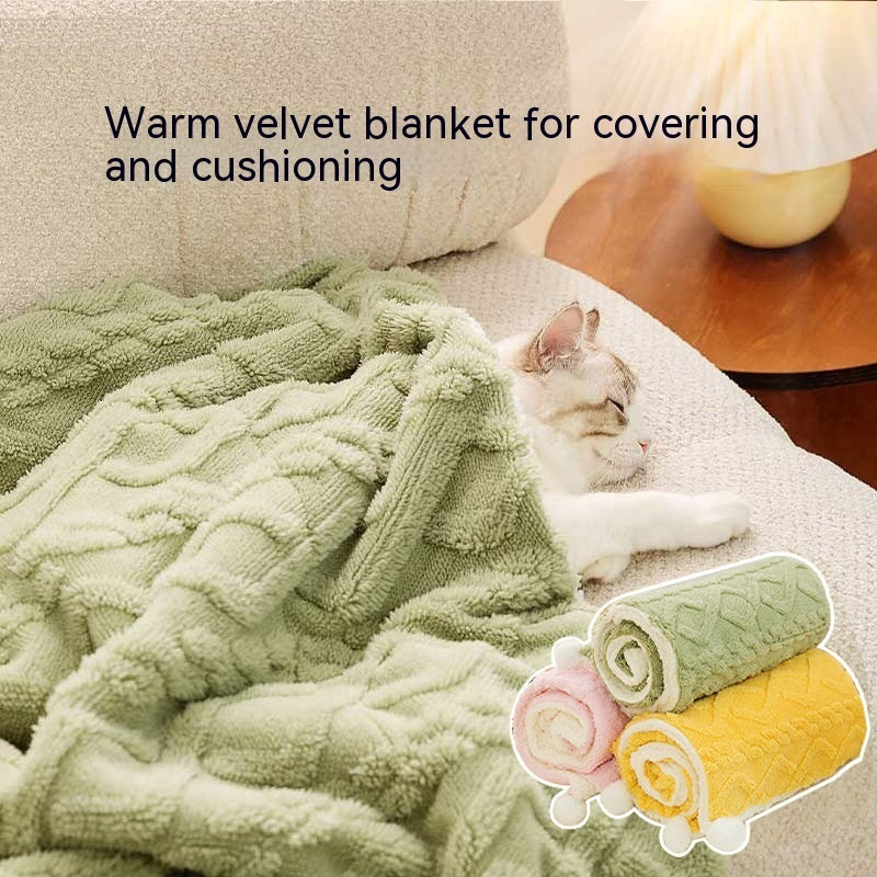 Comfort Pet Blanket.